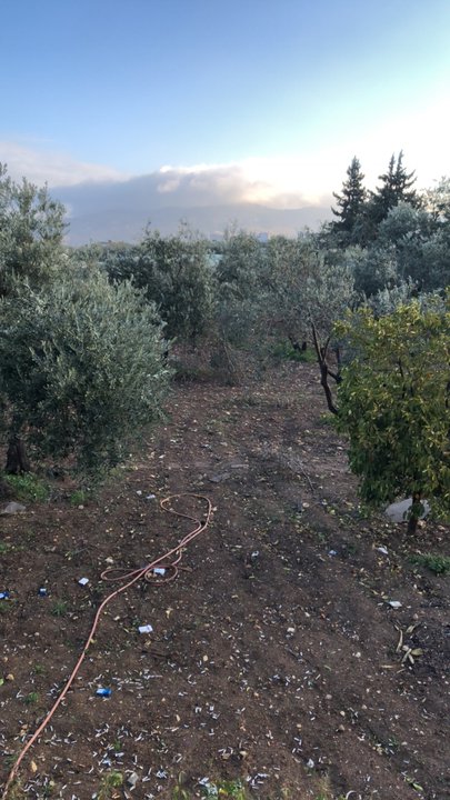 Mes publications Crowdsourcing