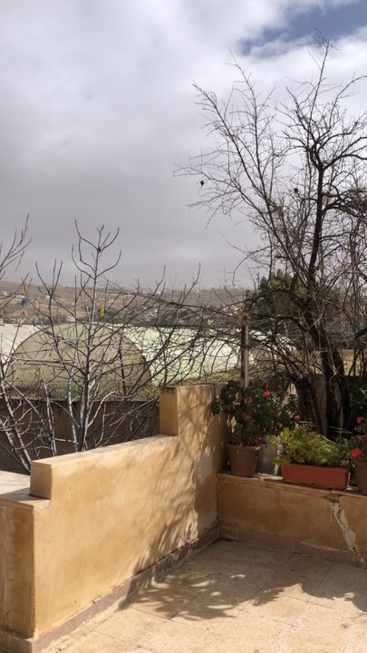 مشاركاتي في أنت الراصد