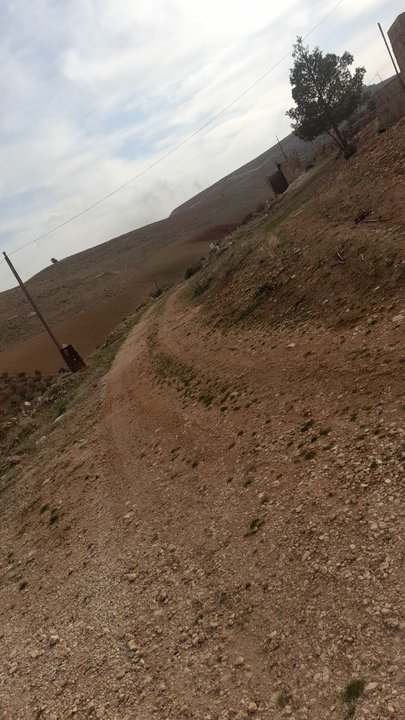 مشاركاتي في أنت الراصد