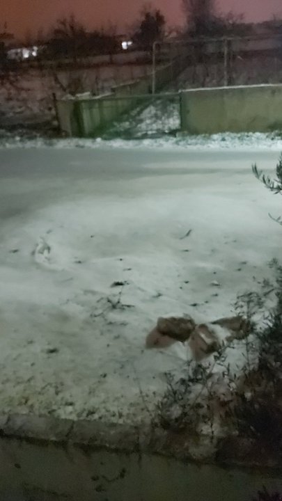 مشاركاتي في أنت الراصد