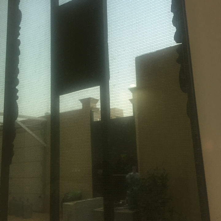 مشاركاتي في أنت الراصد