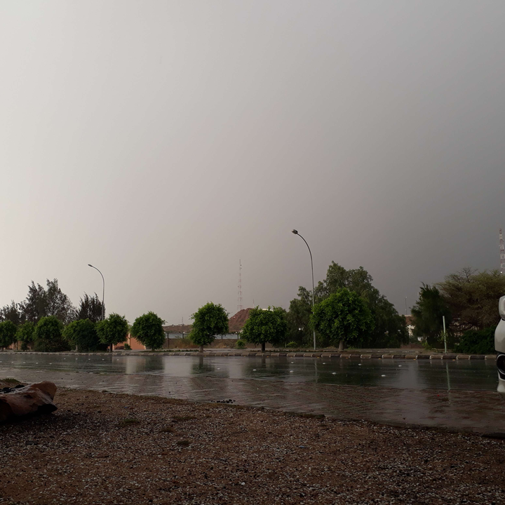 مشاركاتي في أنت الراصد