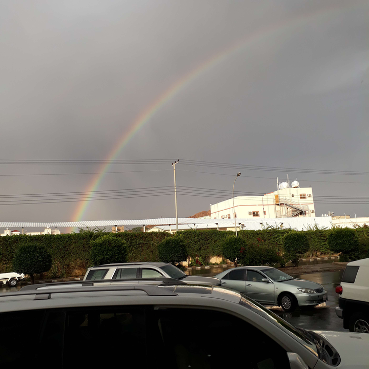 مشاركاتي في أنت الراصد