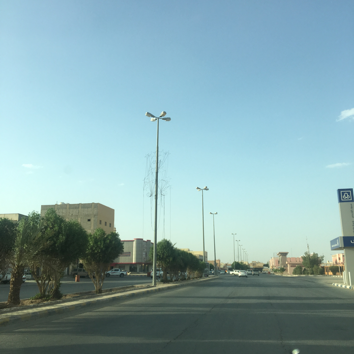 مشاركاتي في أنت الراصد