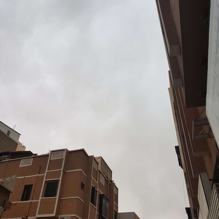 مشاركاتي في أنت الراصد