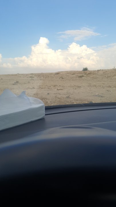 مشاركاتي في أنت الراصد