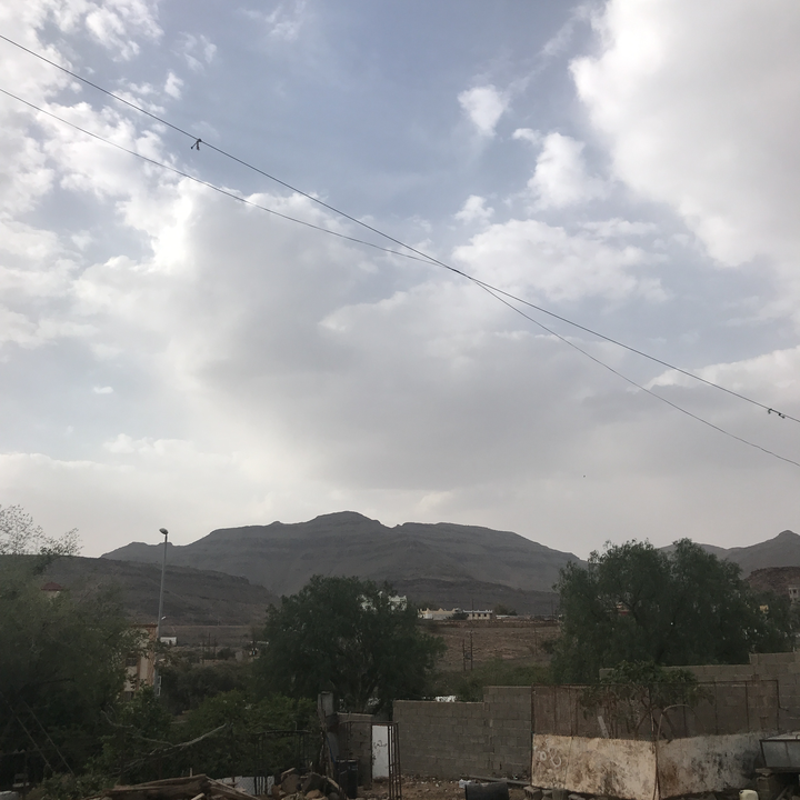 مشاركاتي في أنت الراصد