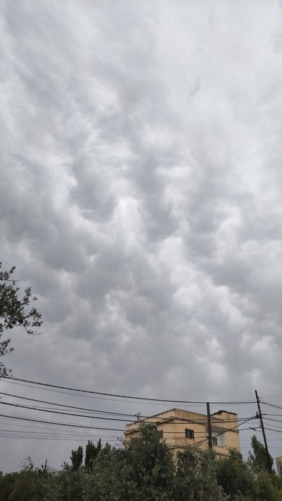 مشاركاتي في أنت الراصد