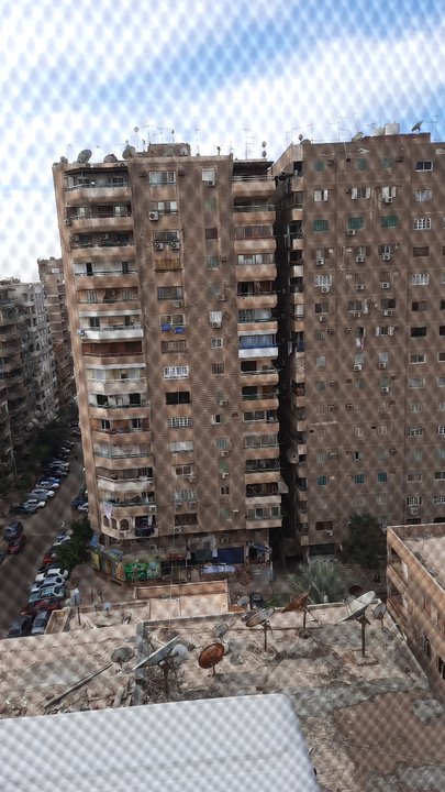 مشاركاتي في أنت الراصد