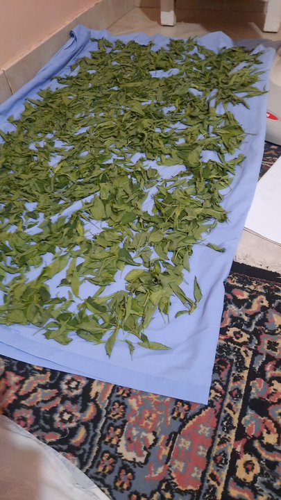 My Crowdsourcing Posts