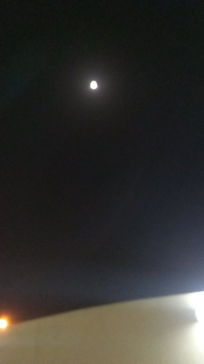 مشاركاتي في أنت الراصد