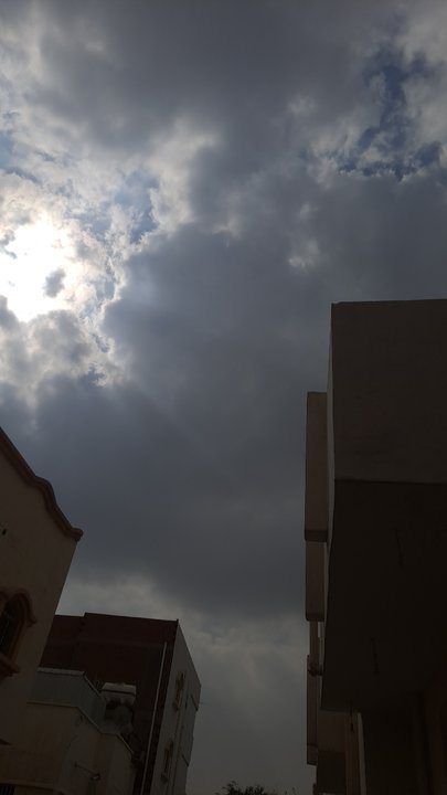 مشاركاتي في أنت الراصد