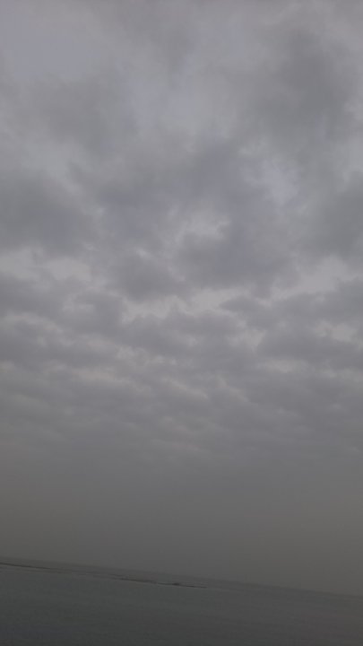 مشاركاتي في أنت الراصد