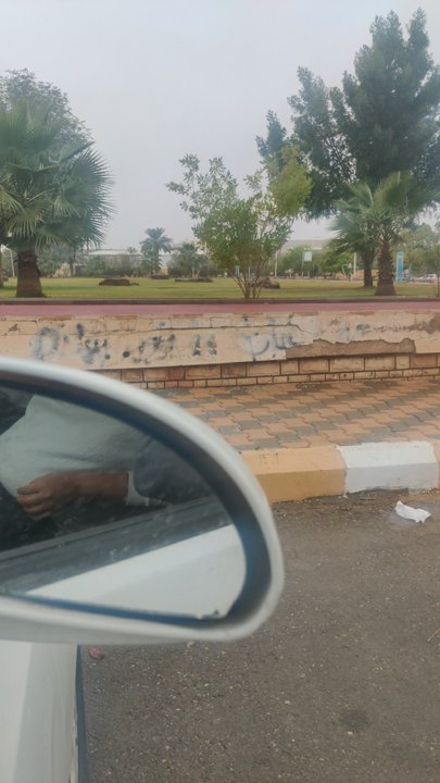 مشاركاتي في أنت الراصد