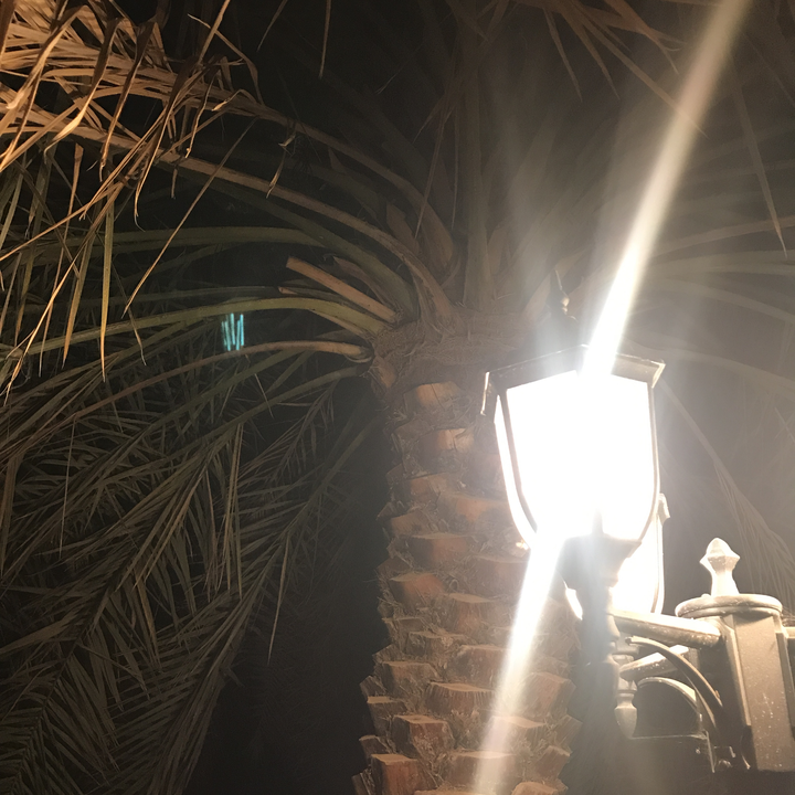 مشاركاتي في أنت الراصد