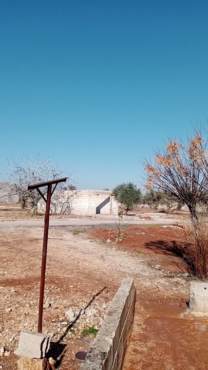 مشاركاتي في أنت الراصد