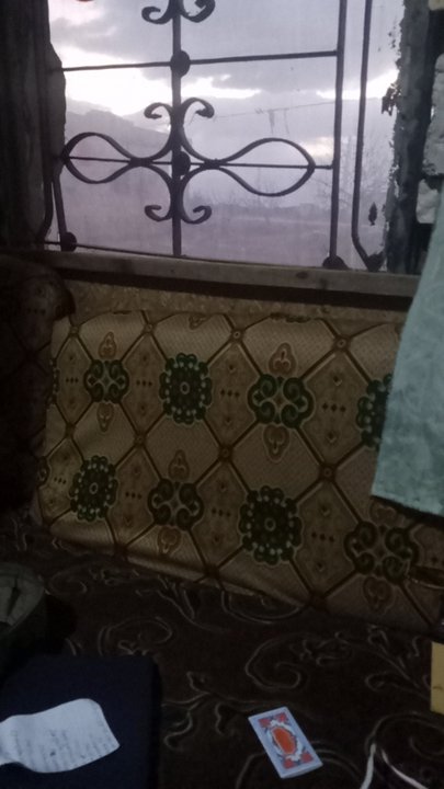 مشاركاتي في أنت الراصد