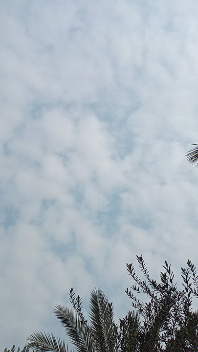 مشاركاتي في أنت الراصد