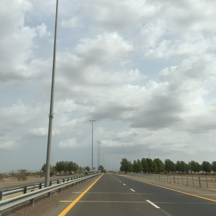 مشاركاتي في أنت الراصد