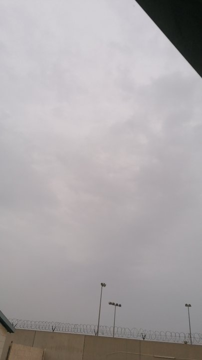 مشاركاتي في أنت الراصد