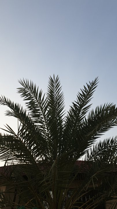 My Crowdsourcing Posts