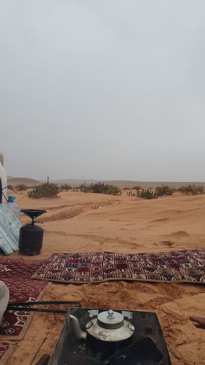 مشاركاتي في أنت الراصد