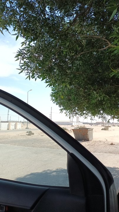 مشاركاتي في أنت الراصد