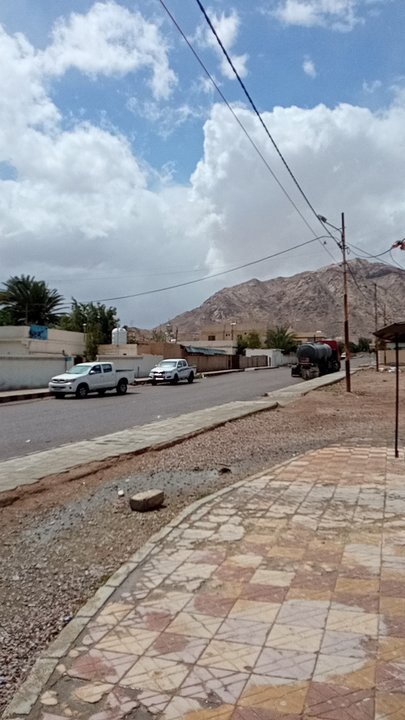 مشاركاتي في أنت الراصد