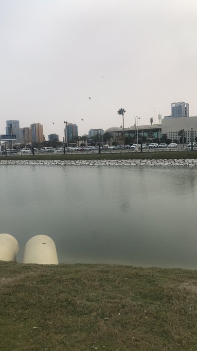 مشاركاتي في أنت الراصد