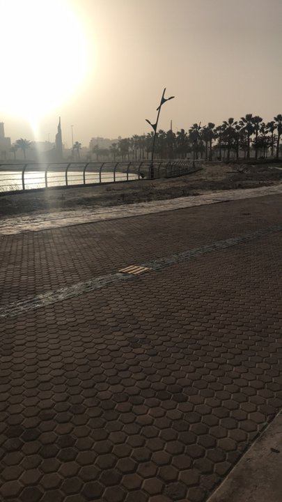 مشاركاتي في أنت الراصد