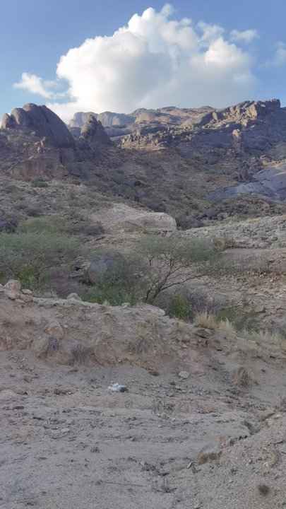 مشاركاتي في أنت الراصد