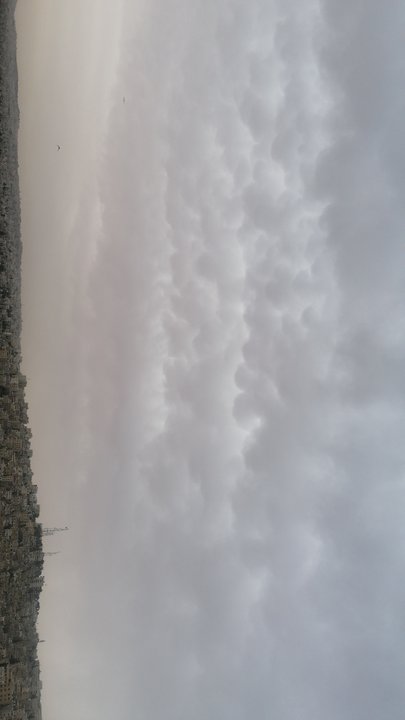 مشاركاتي في أنت الراصد