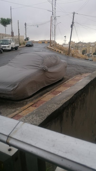 مشاركاتي في أنت الراصد