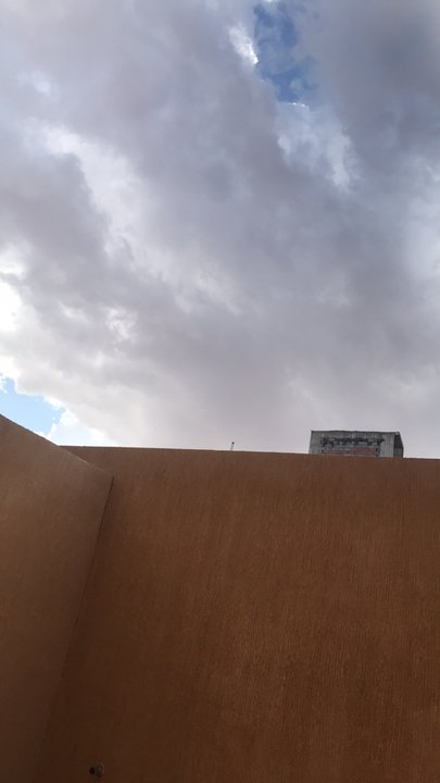 مشاركاتي في أنت الراصد