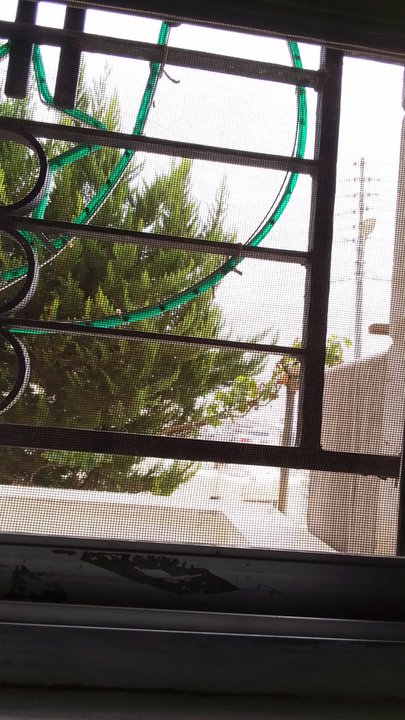 مشاركاتي في أنت الراصد