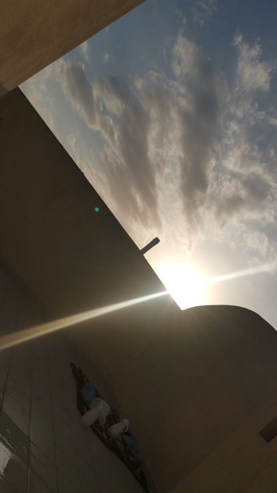 مشاركاتي في أنت الراصد