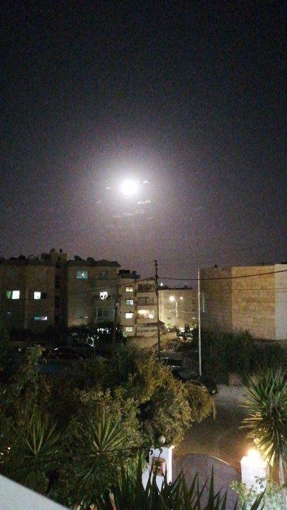 مشاركاتي في أنت الراصد