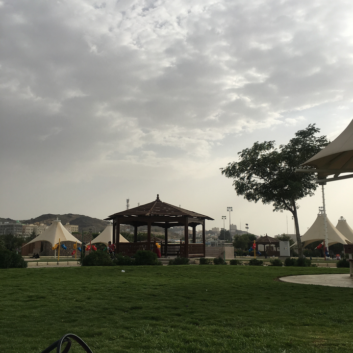 مشاركاتي في أنت الراصد