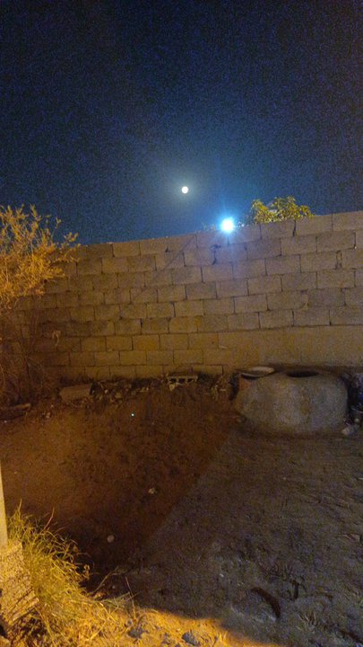 مشاركاتي في أنت الراصد