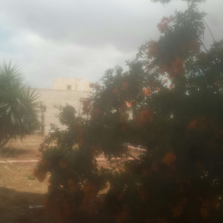 My Crowdsourcing Posts