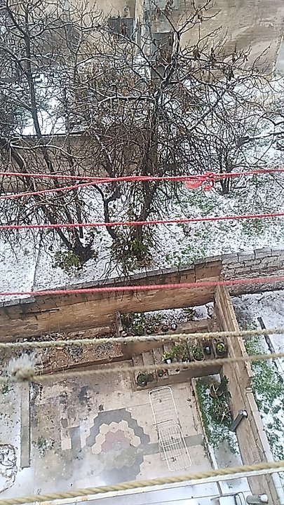 مشاركاتي في أنت الراصد