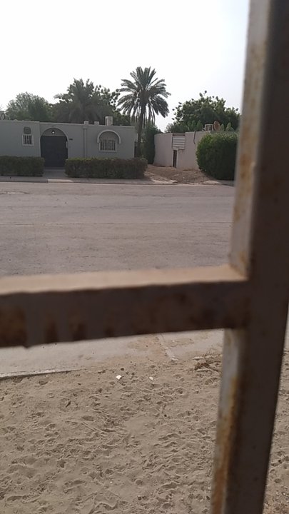 مشاركاتي في أنت الراصد