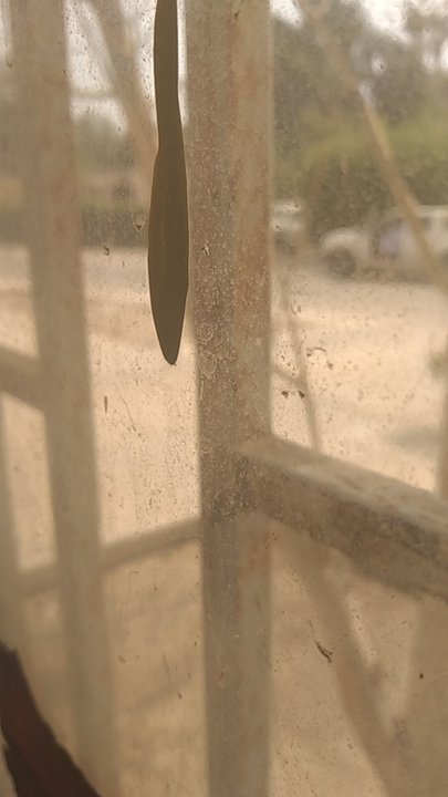 Mes publications Crowdsourcing