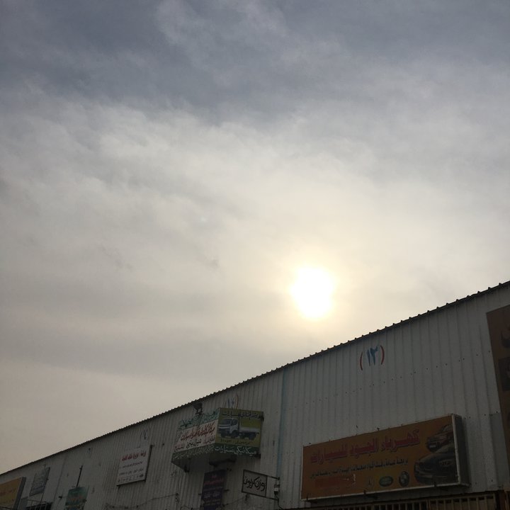 مشاركاتي في أنت الراصد