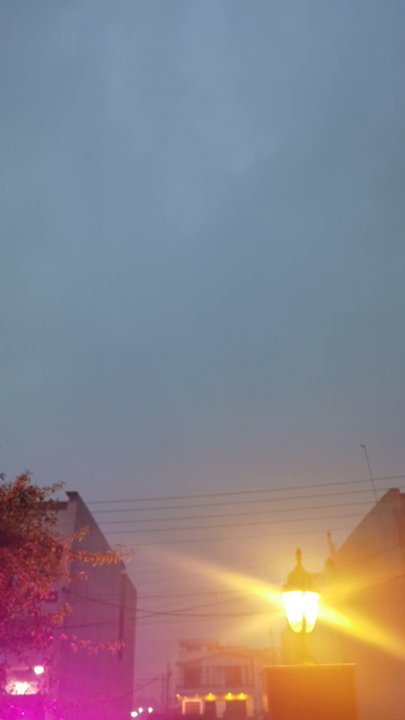 مشاركاتي في أنت الراصد