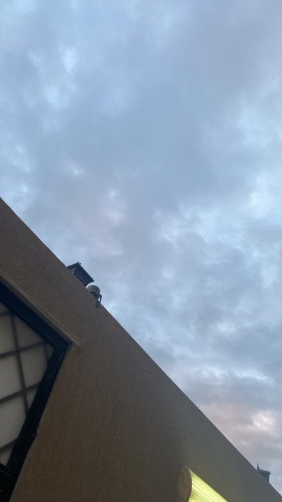 مشاركاتي في أنت الراصد