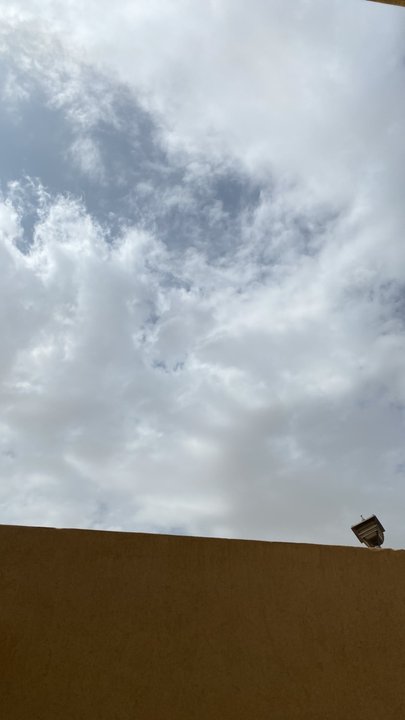 مشاركاتي في أنت الراصد