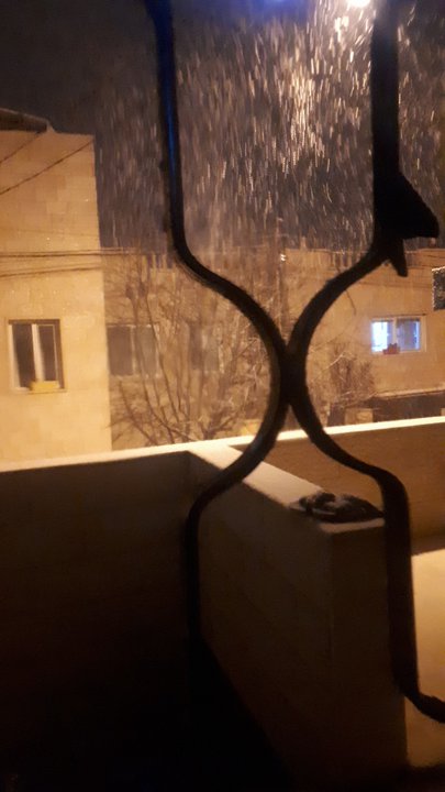 مشاركاتي في أنت الراصد