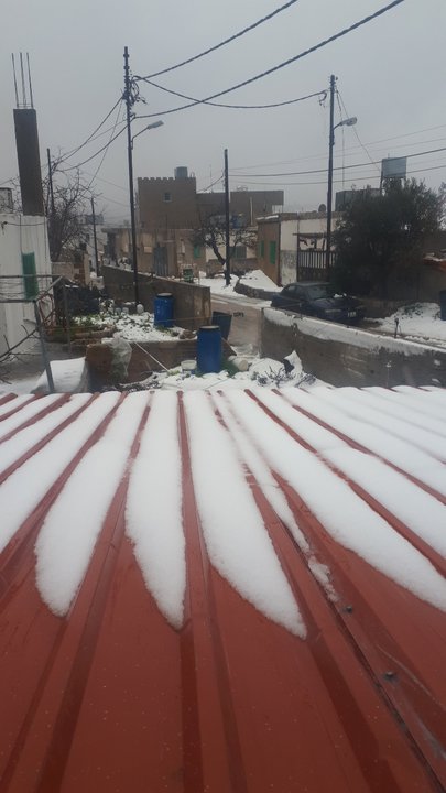 مشاركاتي في أنت الراصد