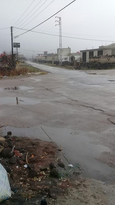 مشاركاتي في أنت الراصد